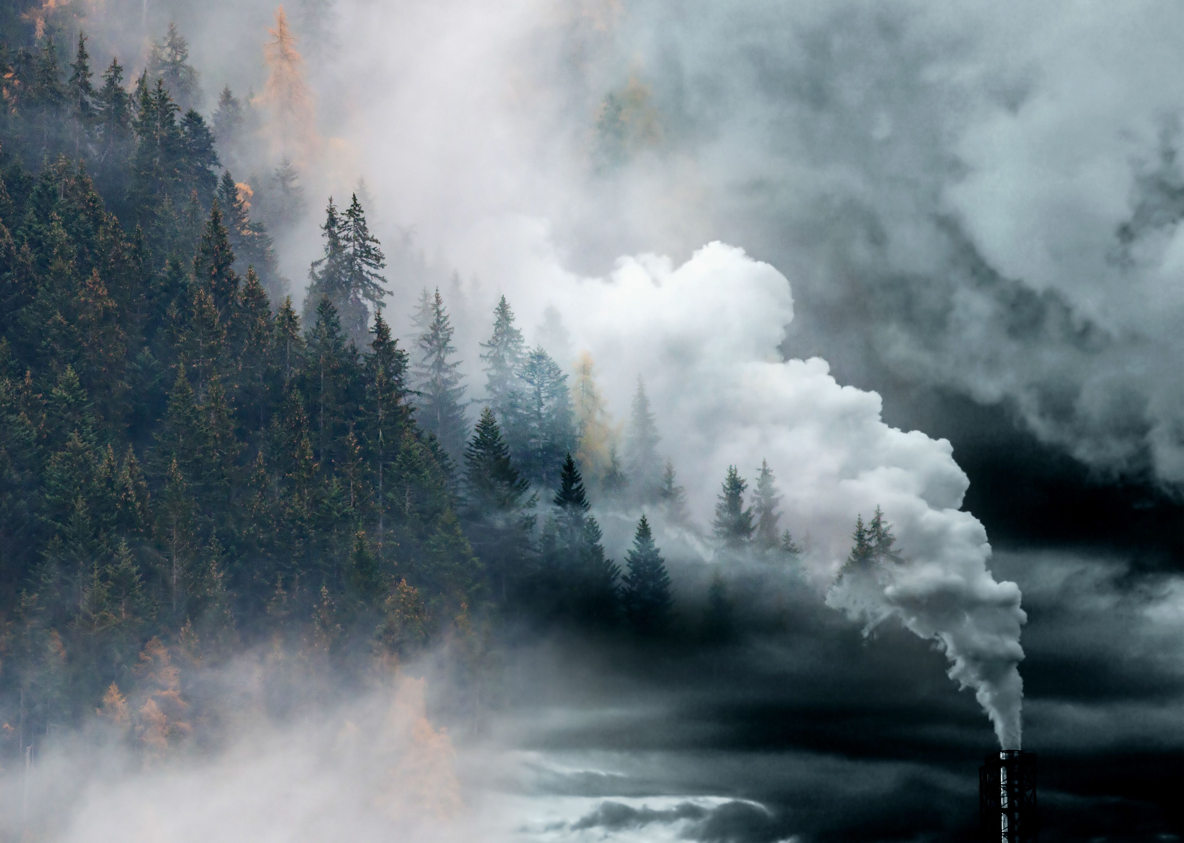 smoke stack billowing smoke into hillside forest