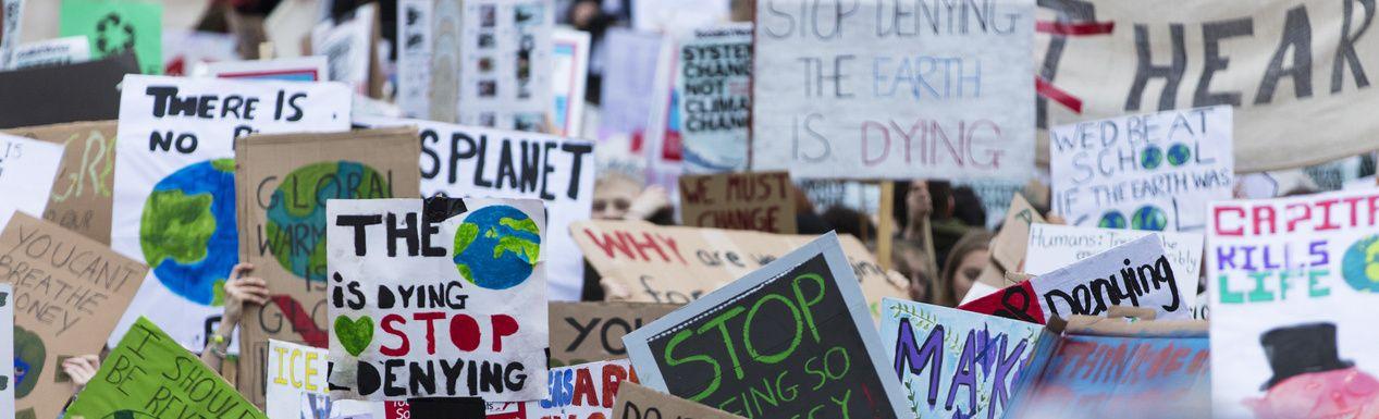 An image of climate protest signs